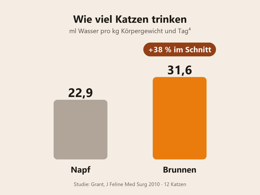 Grafik: Katzen tranken am Brunnen im Schnitt 38 % mehr als am Napf