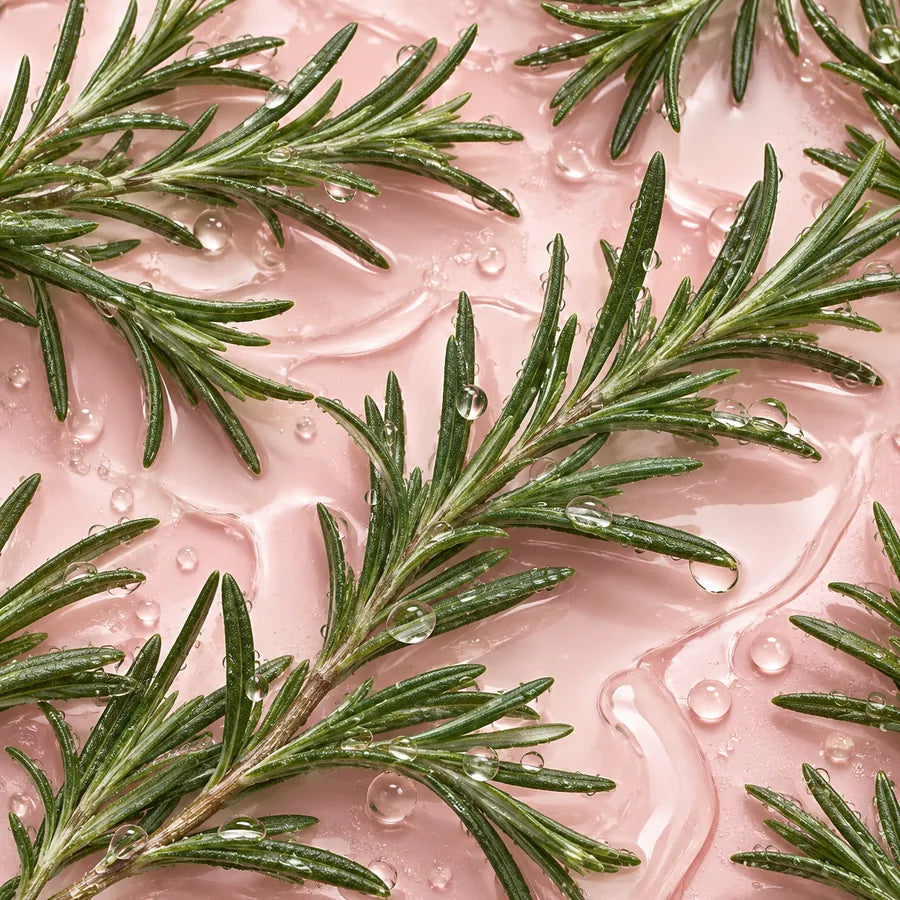 Fresh rosemary sprigs