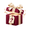 Mystery Gift