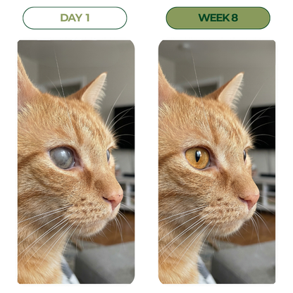 SOVARA Clarity Drops