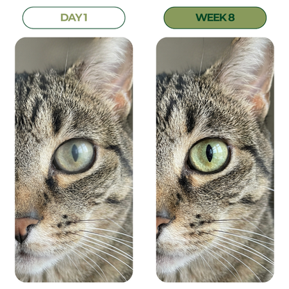 SOVARA Clarity Drops