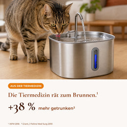 Sovara Katzenbrunnen