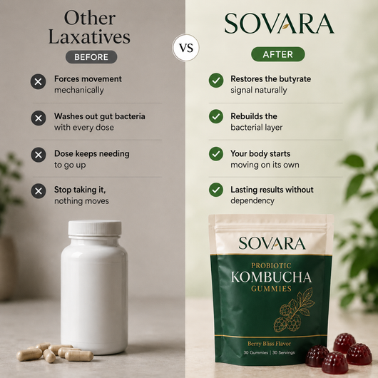 Probiotic Kombucha Gummy for Constipation