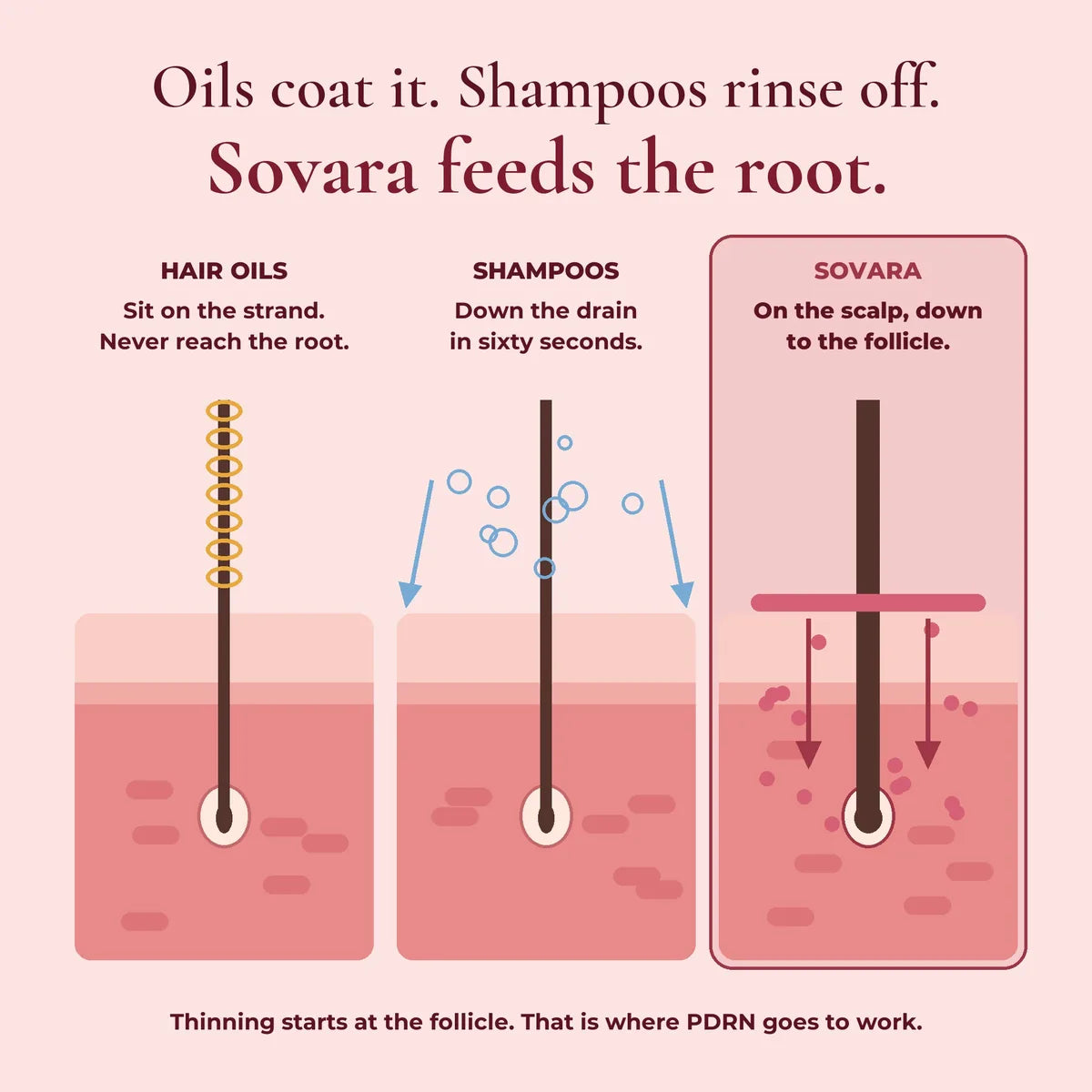 Hair oils coat the strand, shampoos rinse off, Sovara goes on the scalp to the root